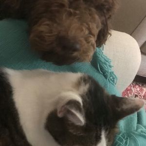 Meet your Posher, Karen